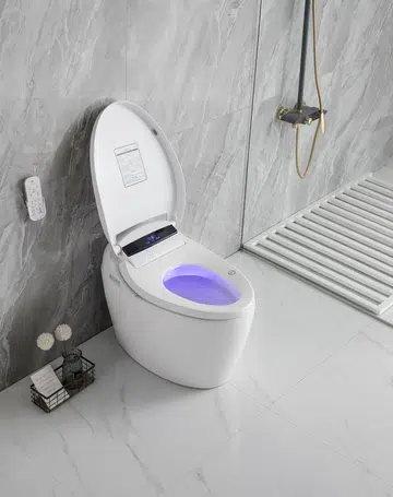 Starke Luxus Luxury Intelligent Toilet Bowl, $3,999