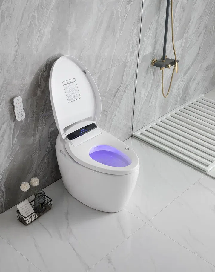 Starke Luxus Luxury Intelligent Toilet Bowl, $3,999
