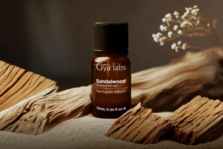Gya Labs Natural Sandalwood Oil - Sandalwood Essential Oil
