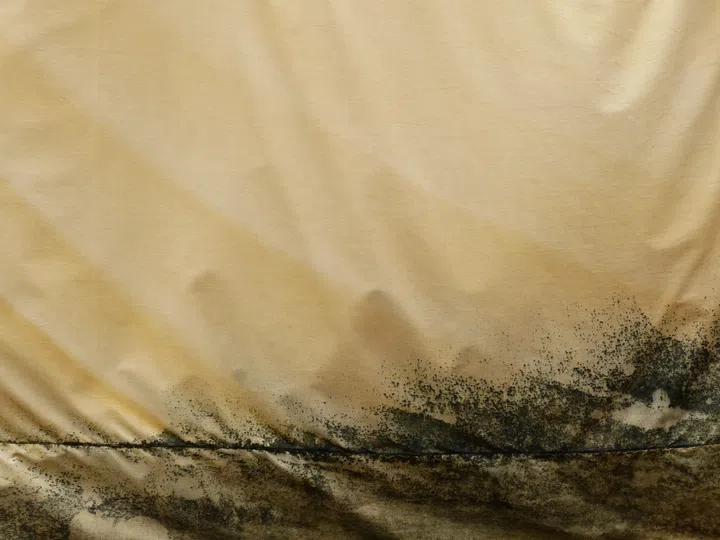 Mould on old yellow robe.