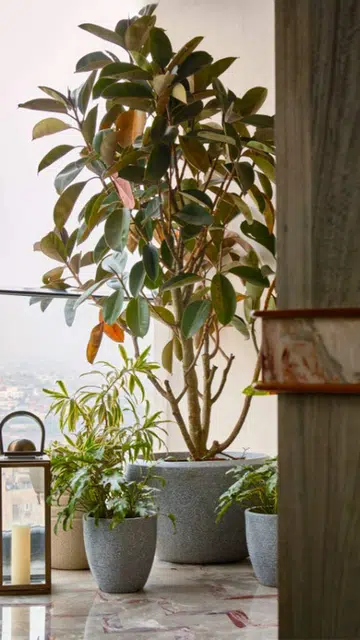 Pooja created a sensual outdoor space in this apartment with touches of greenery, where the family can retreat to in the evenings to enjoy the view.