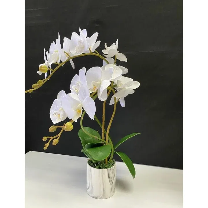 Artificial pot of Alton Phalaenopsis Flower Orchids.