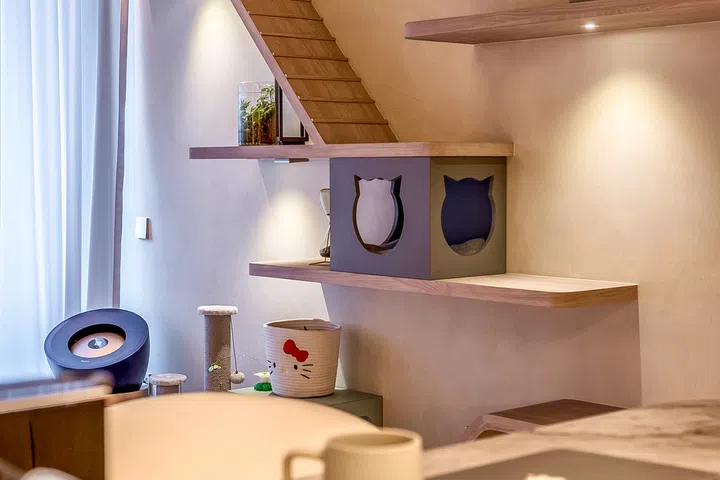 Every platform, cave and ramp was designed around natural feline behaviour, not just playful aesthetics.