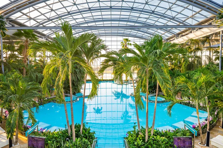 Indoor pool at Therme Bucharest’s relax area.