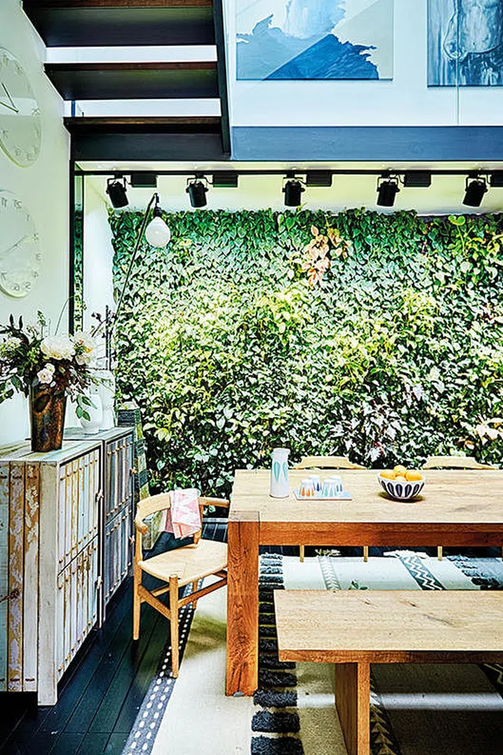 plants, green wall, dining room, dining table, dining chairs, wooden bench, bench