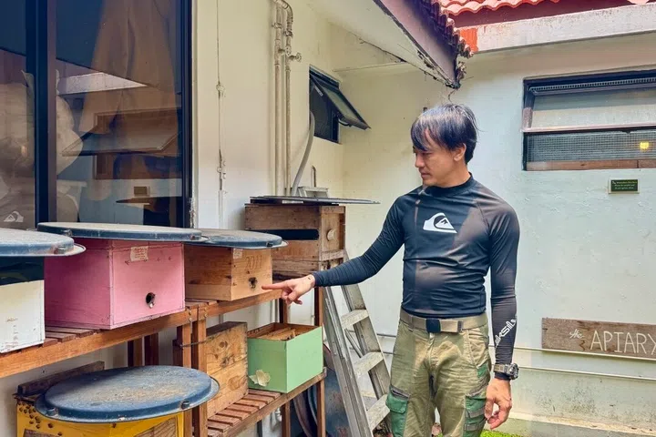 Founder and beekeeper Clarence checks on the hives in the apiary, which were salvaged from The Sundowner’s previous Siglap location and rebuilt here at House of Melissa.