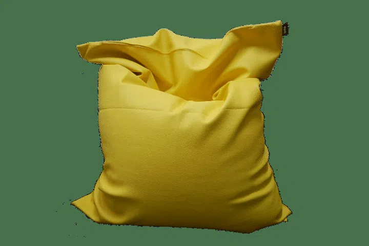 bean bag