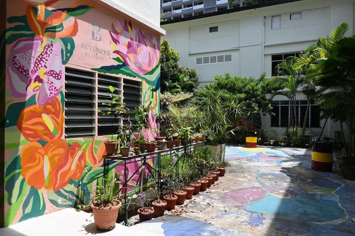 Stunning graffiti found on walls in Pearl's Hill Terrace.