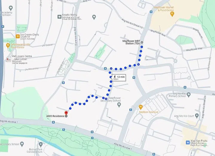 You will take 12 minutes to walk from Mayflower MRT Station (TE6) to AMO Residences. Image from Google Maps