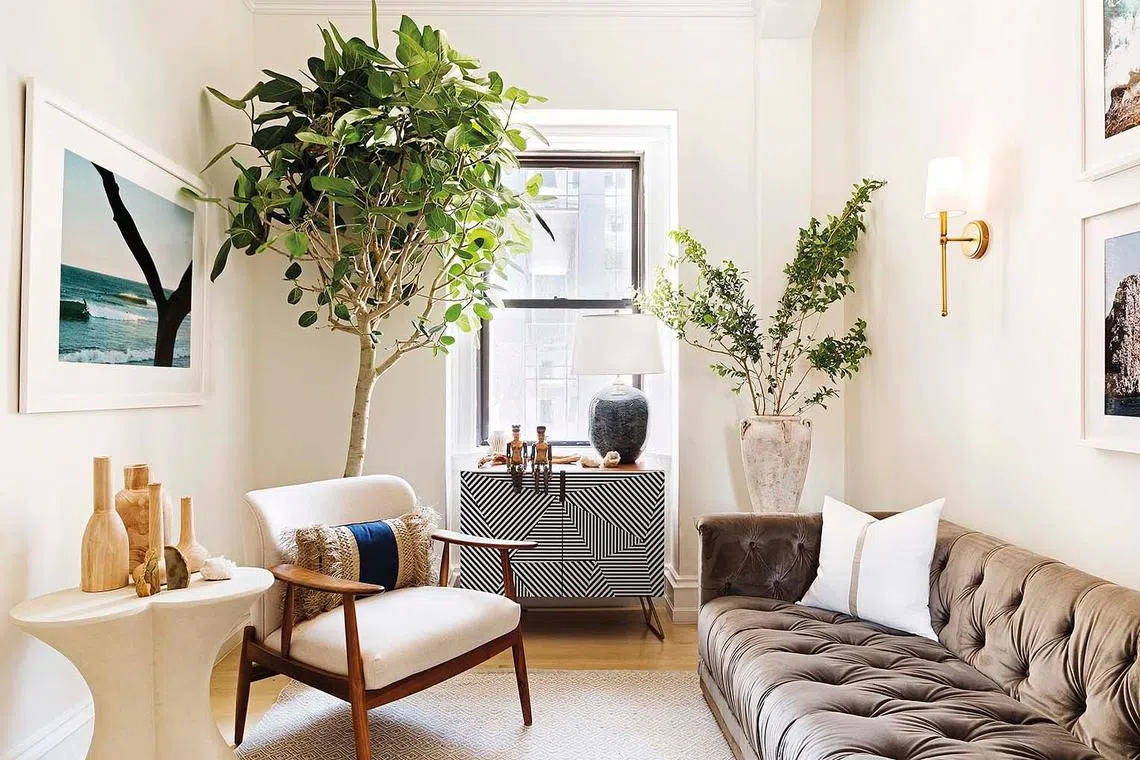 Clarity Therapy New York City: Wellness interior design for ...