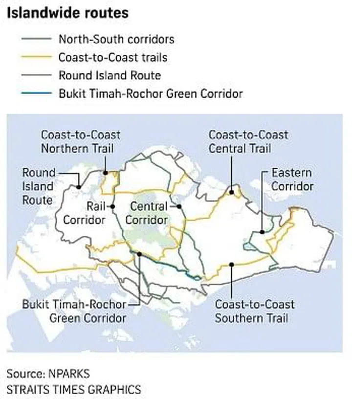 Map view of the island-wide North South Corridor, Coast to Coast trail, Round Island Route, and Bukit Timah Rochor Green Corridor. Information from NParks, graphics from Straits Times Graphics