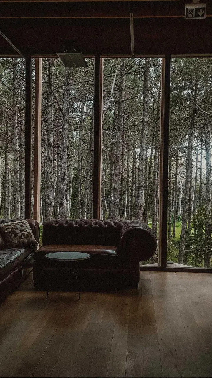 10 Cheap Furniture Shop Singapore: Online, thrift shops, warehouse sales (Photo Pexels Cansu Varol)