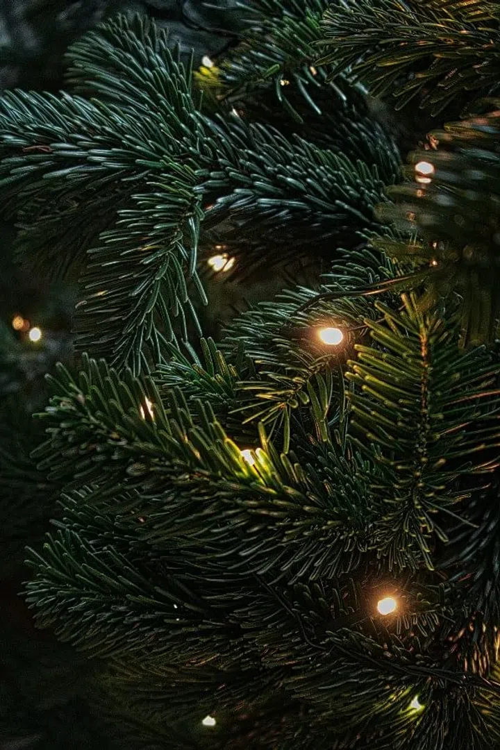 Christmas fairy lights flickering on a Christmas tree