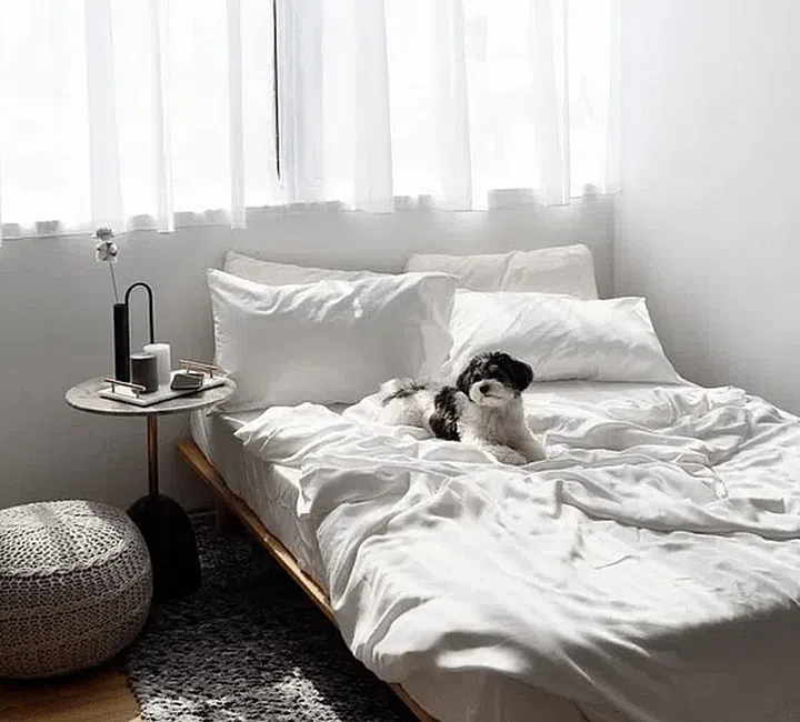 Bedsheet Size, Thread Count, Material: How to choose the best bed sheet?