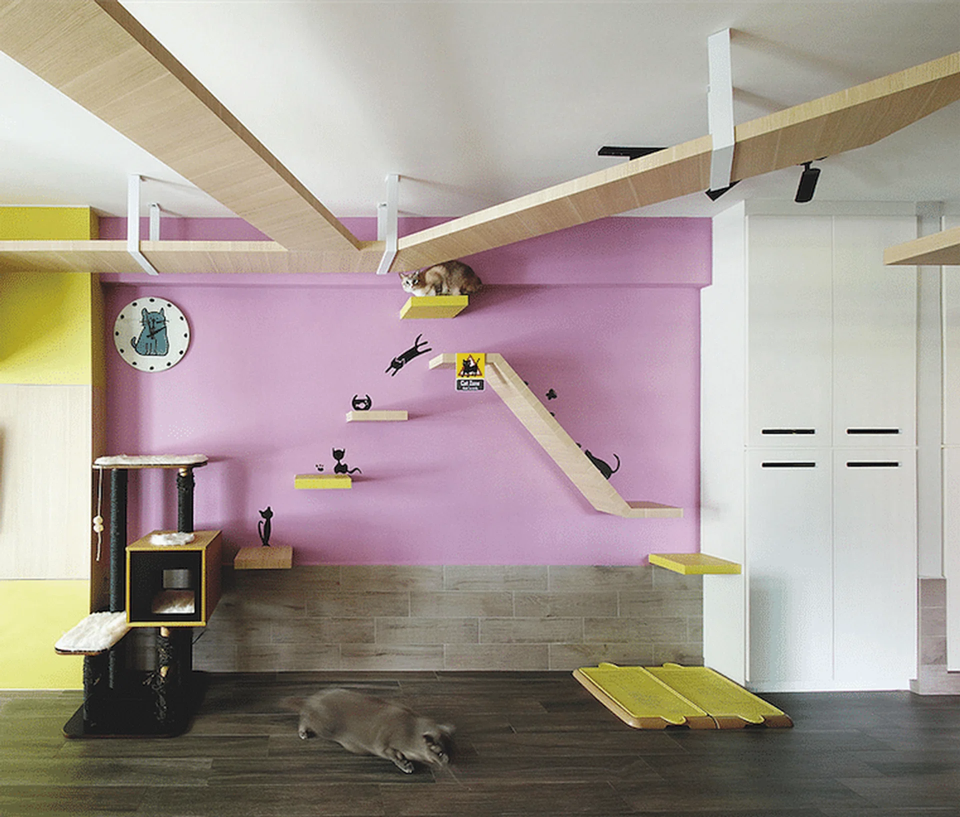 3 Cat-friendly Condo & HDB Interior Design Ideas for cat lovers! | Home ...