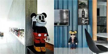 bearbrick_collage