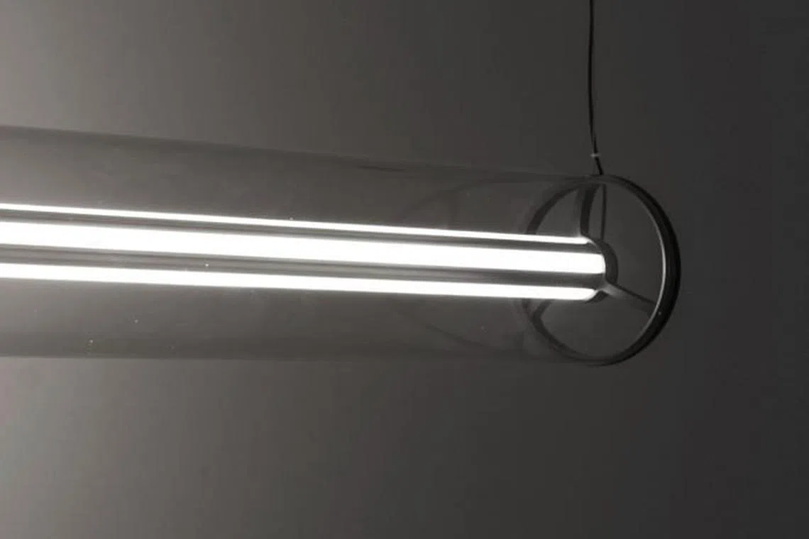 No. 12 Sarah　DRPL Luminous