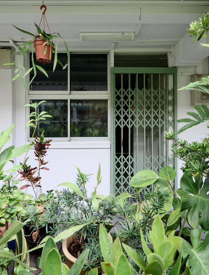By repainting the metal gate, Calvin preserved their nostalgic charm while giving them a subtle modern update. Being on the ground floor has its perks too, he even grew a mini garden right outside his home. 