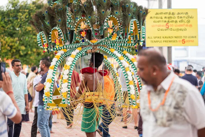 SINGAPORE - Feb 08, 2020: Thaipusam is a religious celebration by devotees. Its highlight is a barefoot walk of devotees carrying milk pots and dancing with prickly kavadis.