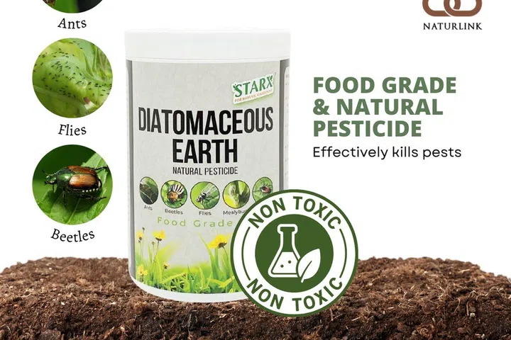 Diatomaceous Earth (STARX)