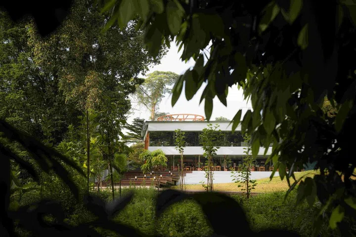 AIR CCCC is visible through some leaves and trees