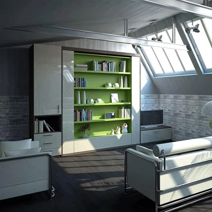 bookshelves, storage, murphy bed, space-saving