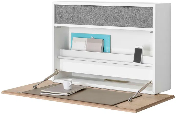 wall-mounted storage, shelf, display
