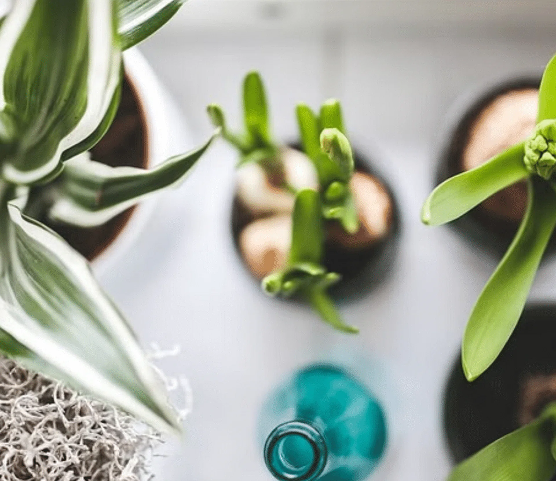 Singapore Women's Weekly