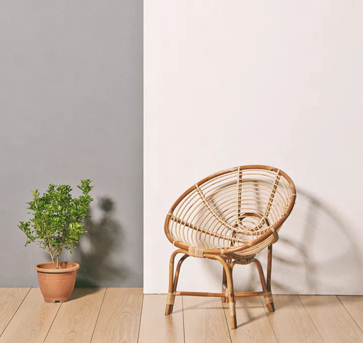 singapore, designer, chair, original, sg50, rattan chair, shell chair, iconic chair