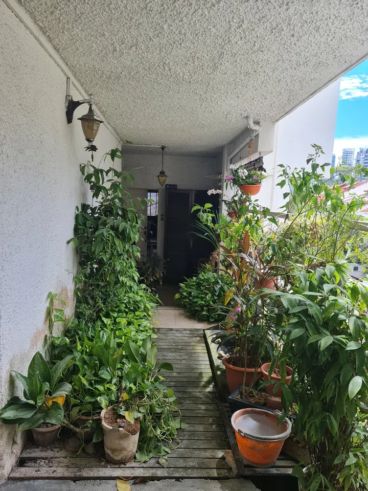 [Before Renovation] The main entrance to the Emerald Hill condo as the homeowners viewed prior to renovation works.