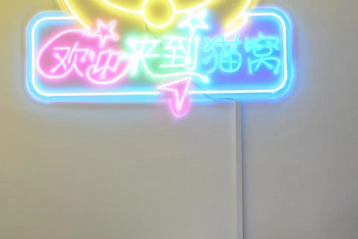 Neon light wall decor in a 5-room HDB in Edgedale Plains.