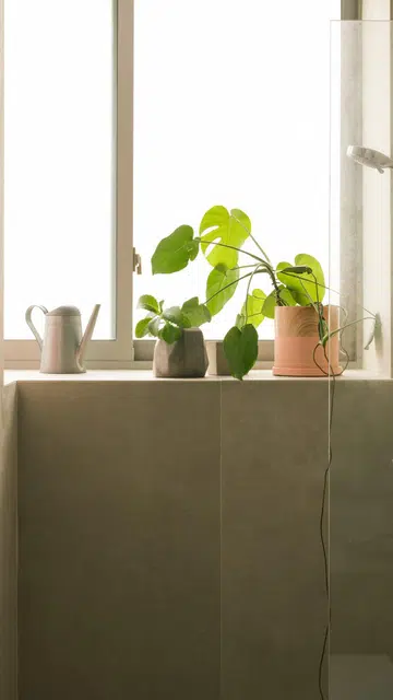 Planters sit on the windowsill in the bathroom of this 1,900 sq ft 3-bedroom condominium in Sentosa.