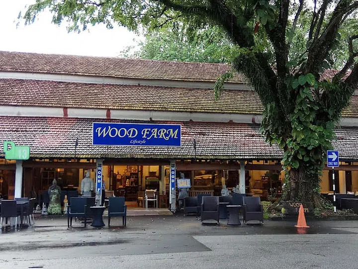 Wood Farm second hand furniture shop Dempsey Road