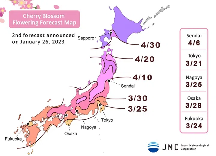 Japan Meteorological Corporation (JMC) has released its forecast of when the cherry blossoms are expected to bloom across the country in 2023.