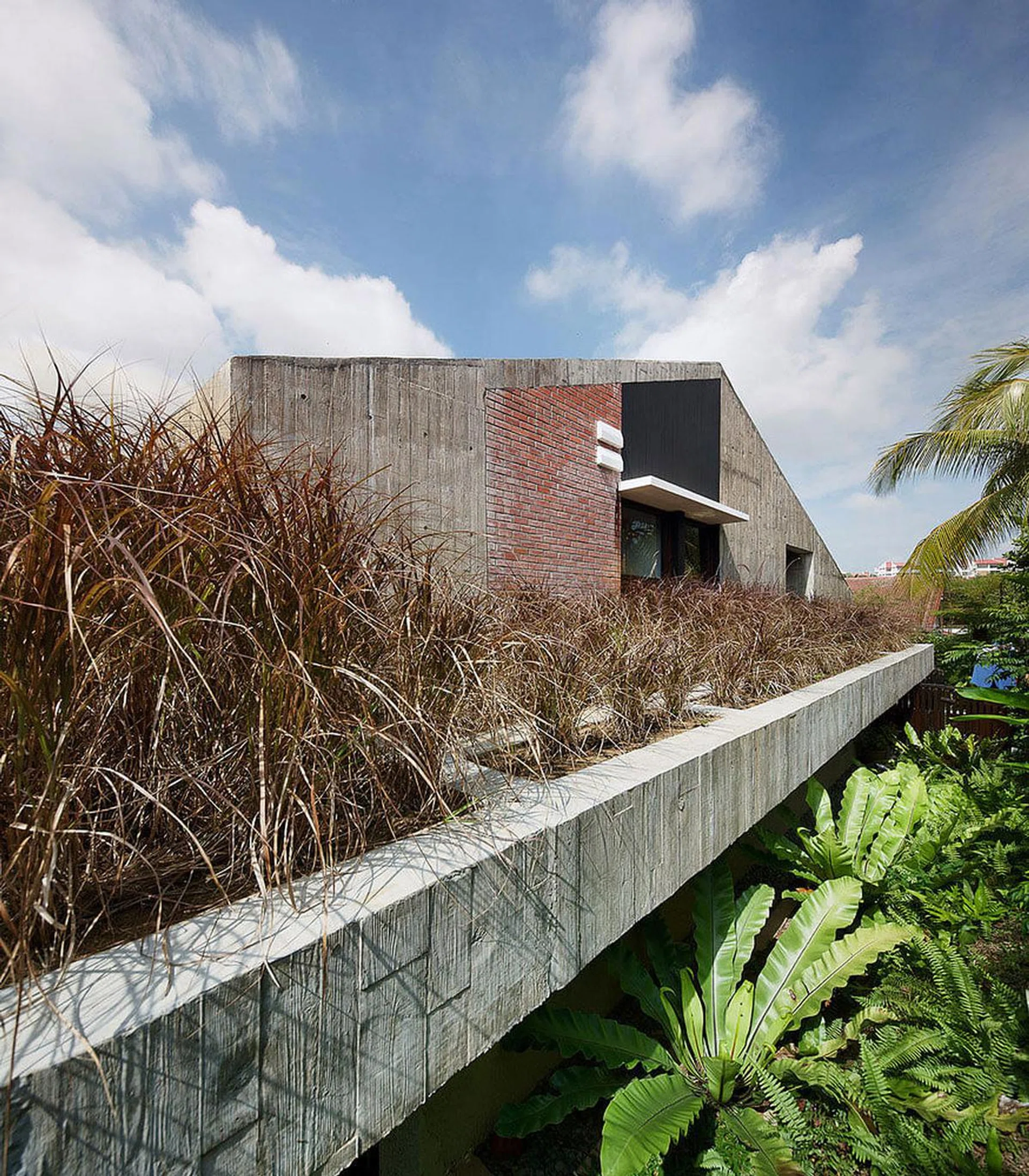 62678-sunset_way_ipli_3