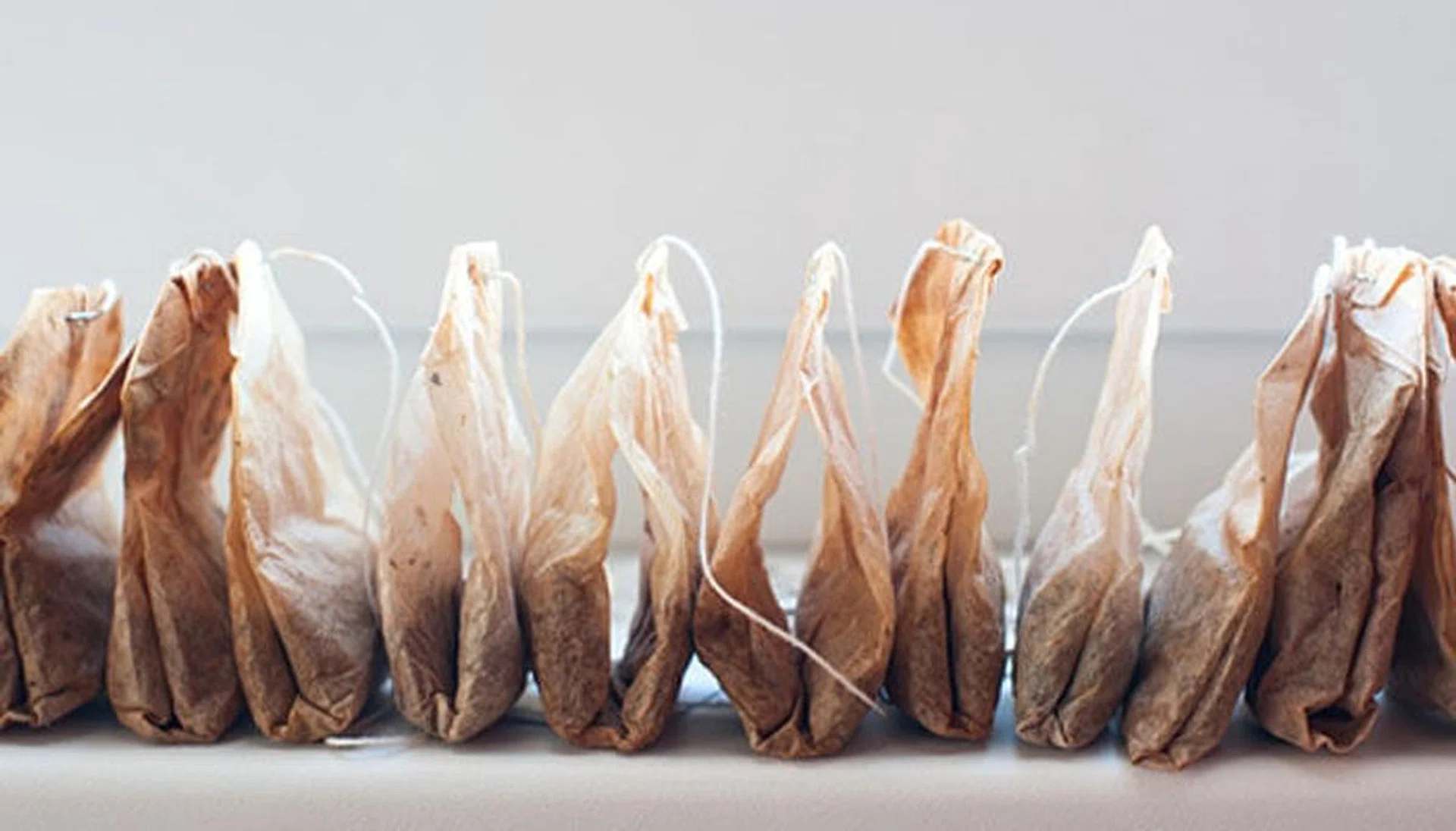 70097-10-things-you-didnt-know-you-could-do-with-teabags_1