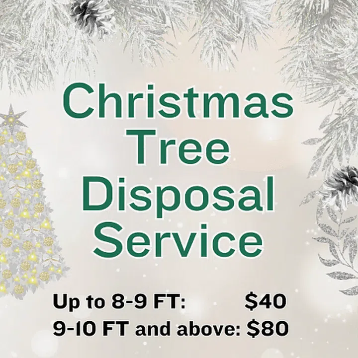 Ji Mei Flower Christmas Tree Disposal Singapore