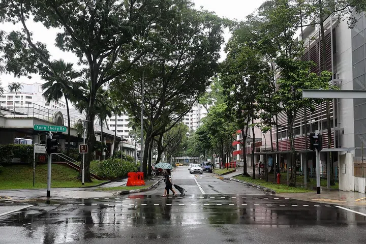 达曼裕廊一带的永升路（Yung Sheng Road）。