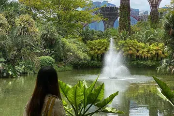 Although this couple relocated to Malaysia, they returned to Singapore at least once a month or every few months. Gardens at the Bay in 2022, before moving home.