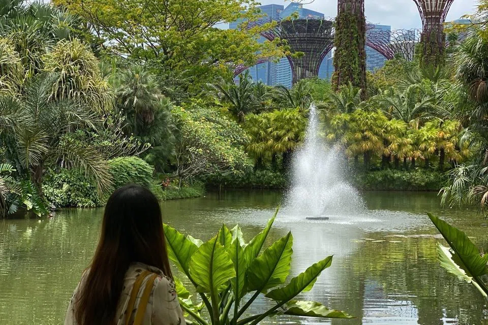 Although this couple relocated to Malaysia, they returned to Singapore at least once a month or every few months. Gardens at the Bay in 2022, before moving home.