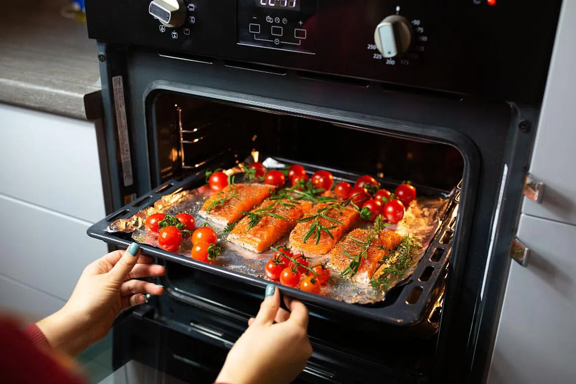 13 Best Builtin Oven Singapore Bosch, Mayer, SMEG Home & Decor