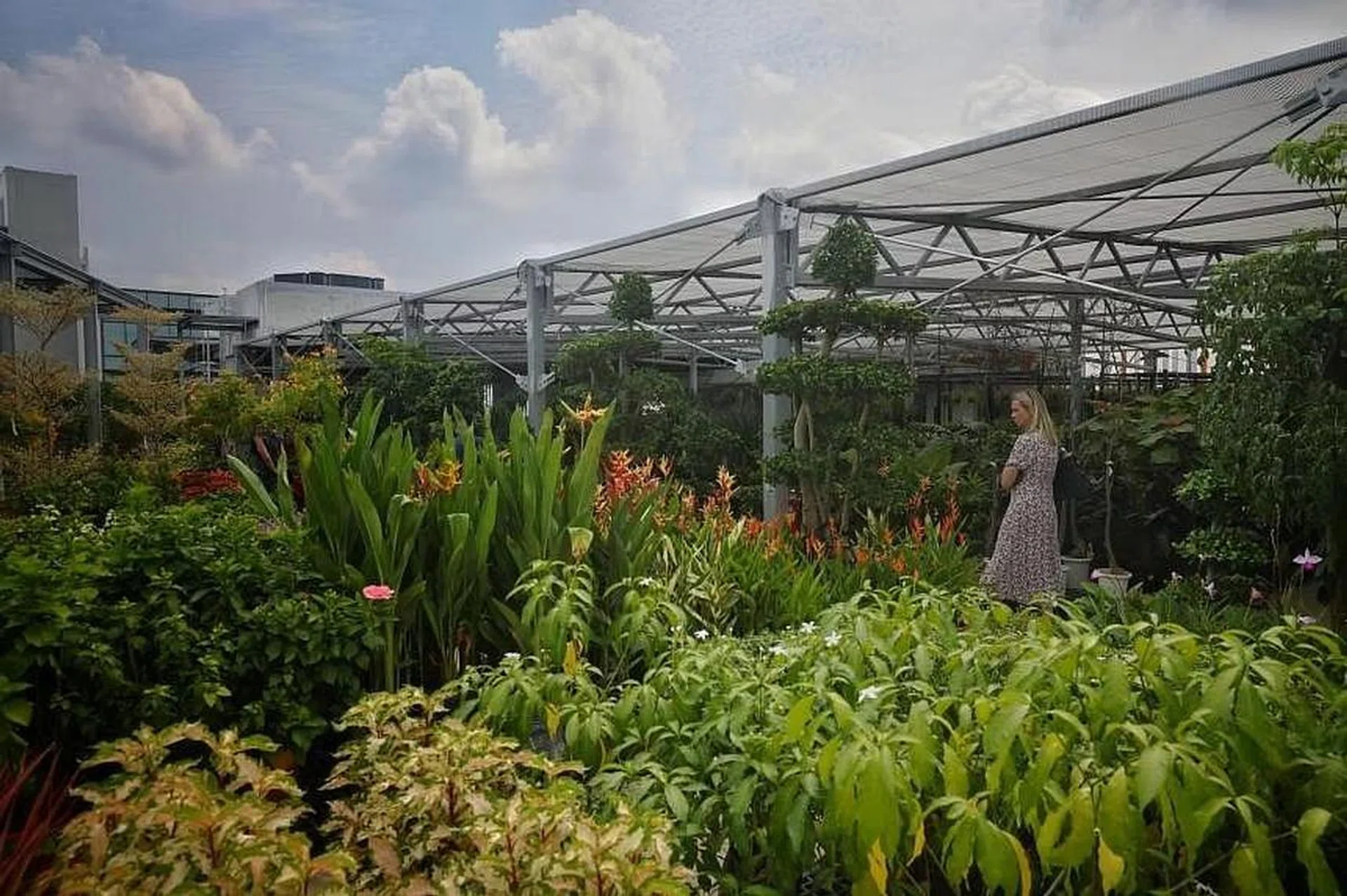 The Far East Flora Centre sells 1,000 types of flowers and more than 500 plants, a suite of gardening products and home decor items.