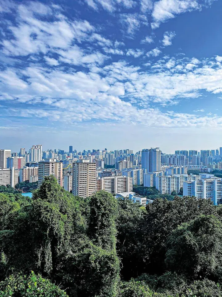 View of Singapore's HDB from Mount Faber park