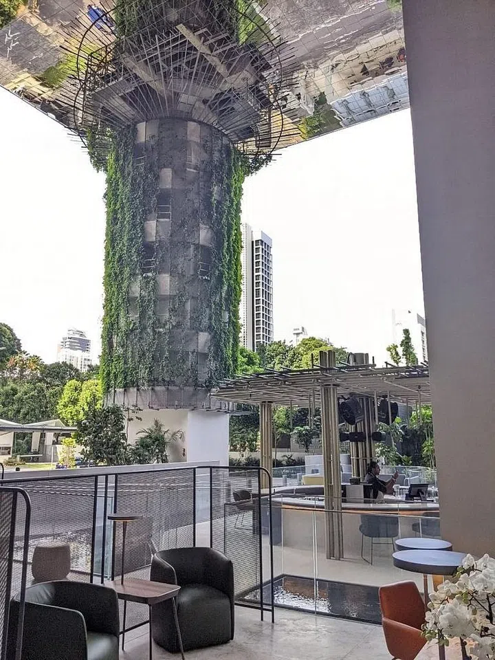 A big pillar with greenery growing