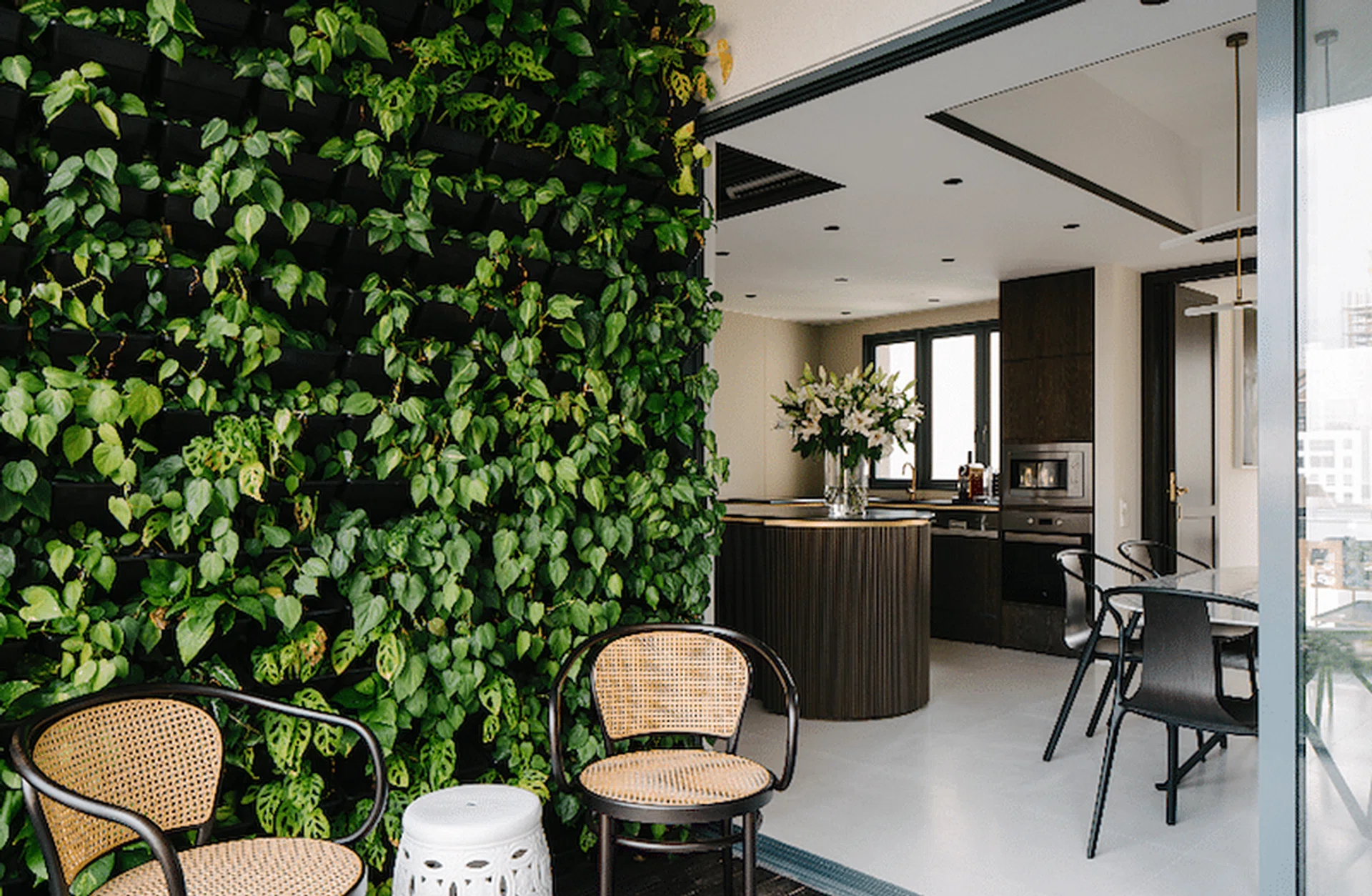 singapore house plants