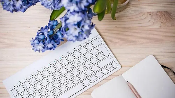 Enhance your southeast corner with plants and fresh flowers