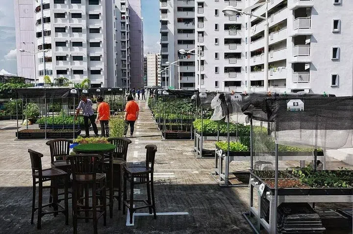 Green spaces play a crucial role in reducing ambient temperatures, as well as making the environment more pleasing to the eye. ST PHOTO: KEVIN LIM