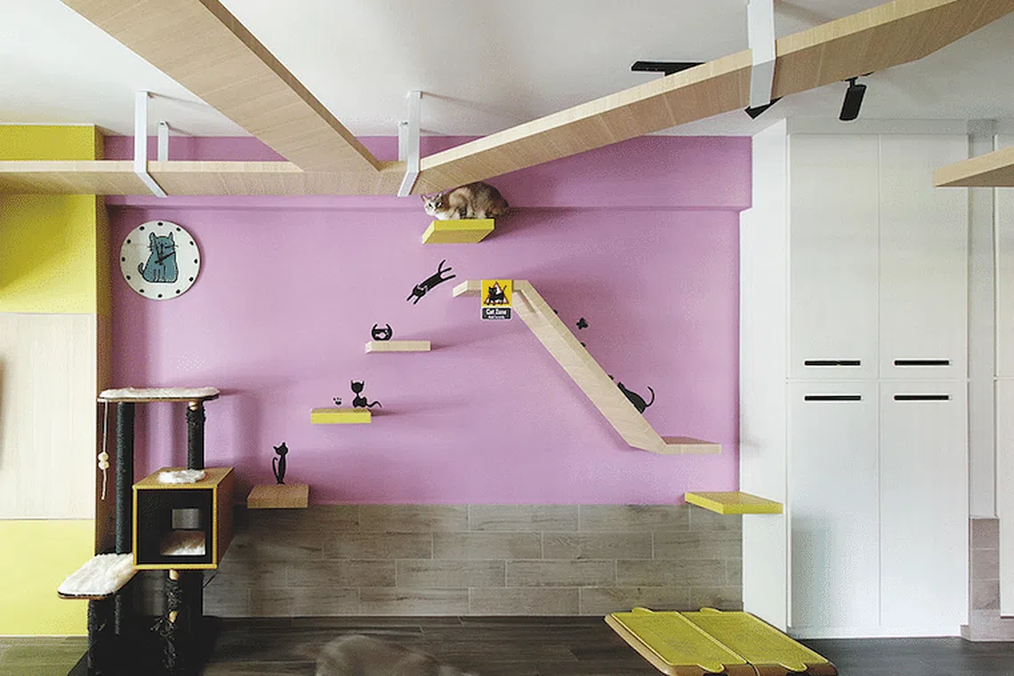 Home Tour: $105,000 Cat-friendly renovation for this colourful 4-room ...