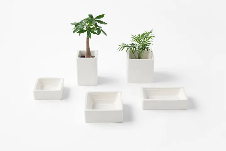 Nendo, pet goods, dogs, cats