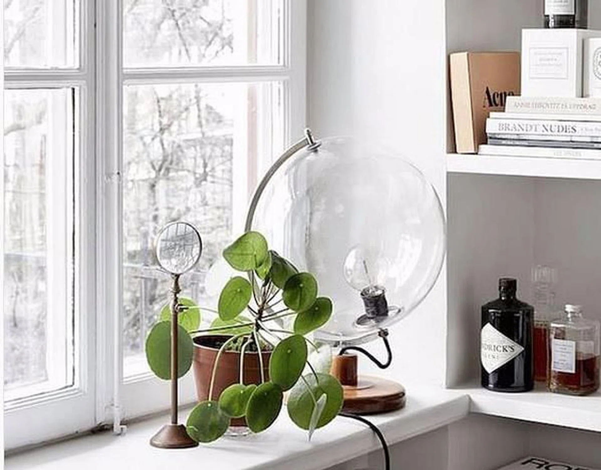 58164-window-styling